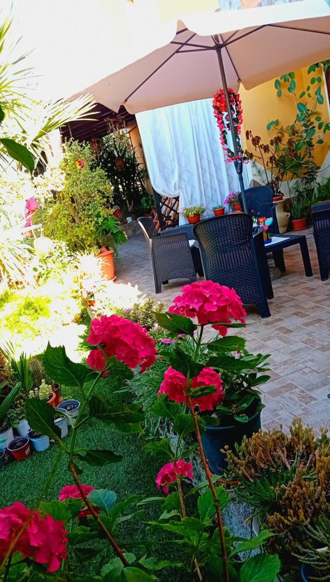 B&B Giomar Sardegna Nord Ovest Campanedda Экстерьер фото